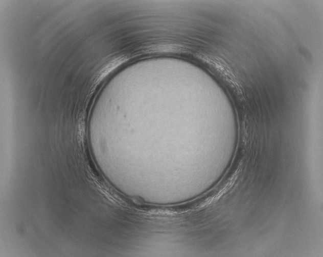 X0000115611073200912080957