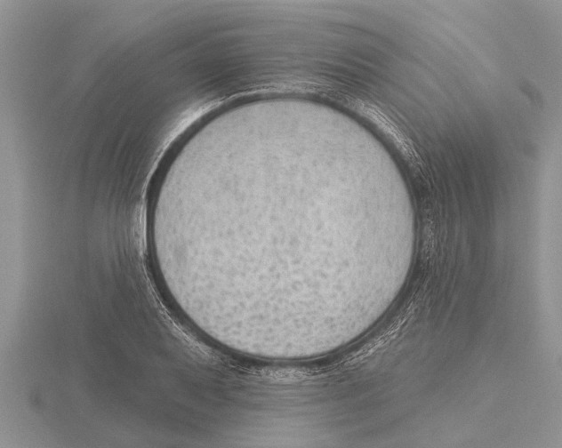 X0000115611079200912080957