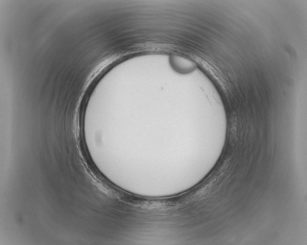 X0000115611082200912080957