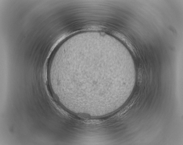 X0000115611083200912080957