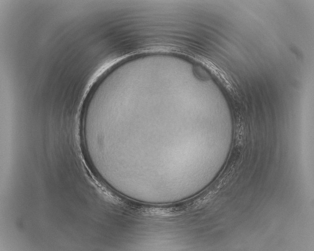 X0000115611086200912080957