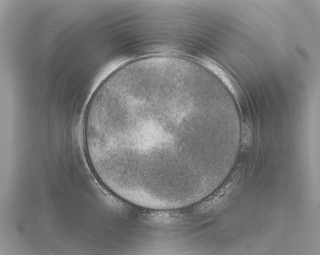 X0000115611098200912080957