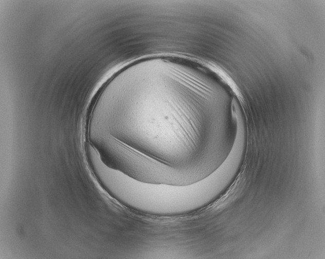 X0000115611101200912080957