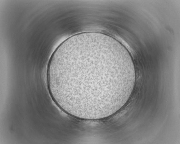 X0000115611103200912080957