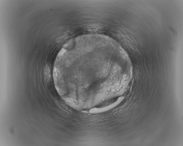 X0000115611106200912080956