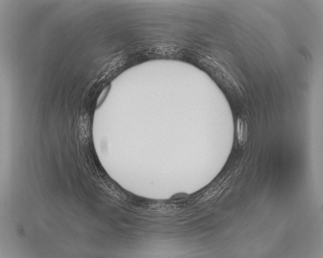 X0000115611107200912080956