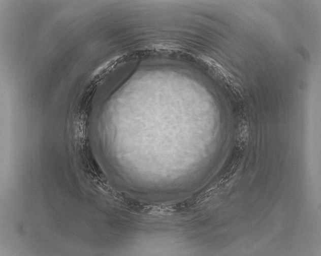 X0000115611110200912080956