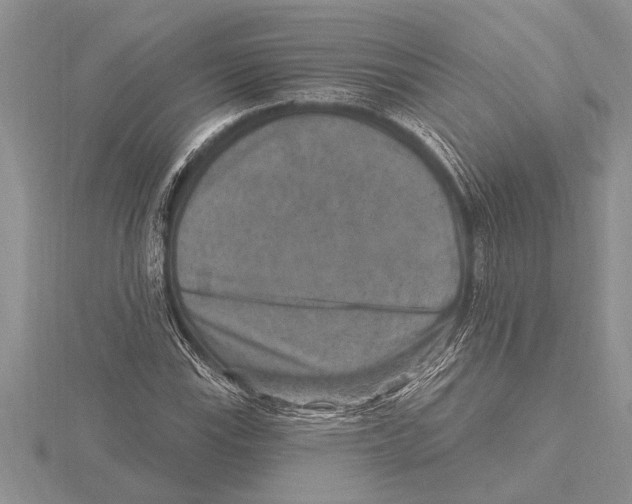 X0000115611115200912080957