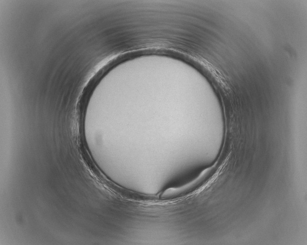 X0000115611118200912080957