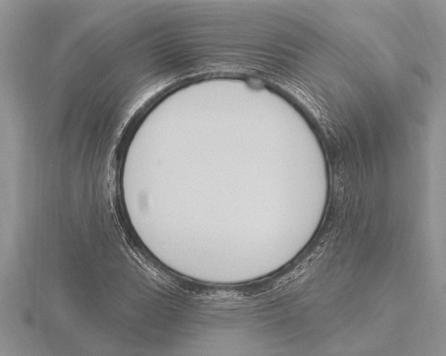 X0000115611119200912080957