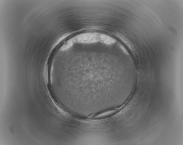X0000115611127200912080957