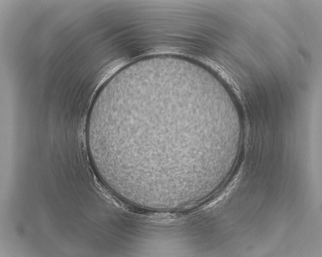 X0000115611137200912080957
