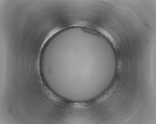 X0000115611138200912080957