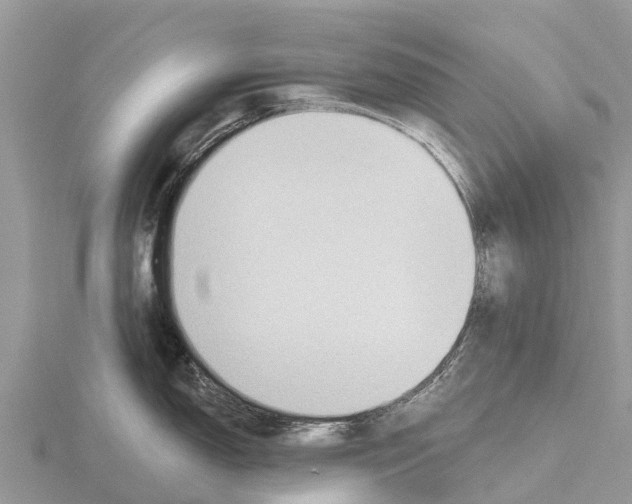 X0000115611150200912080957