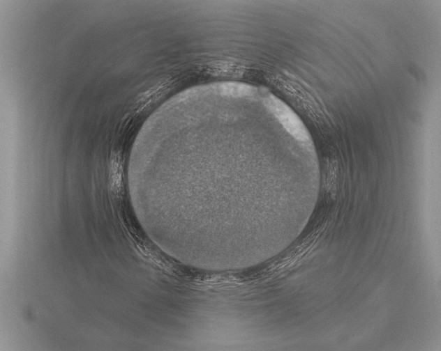 X0000115611154200912080956