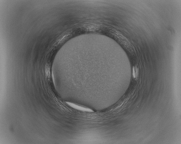 X0000115611155200912080956