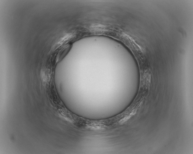 X0000115611157200912080956