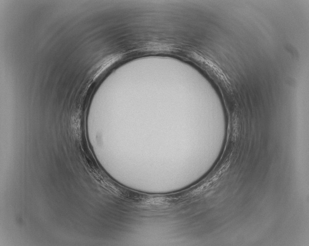 X0000115611162200912080956