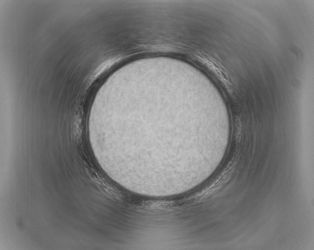 X0000115611163200912080956