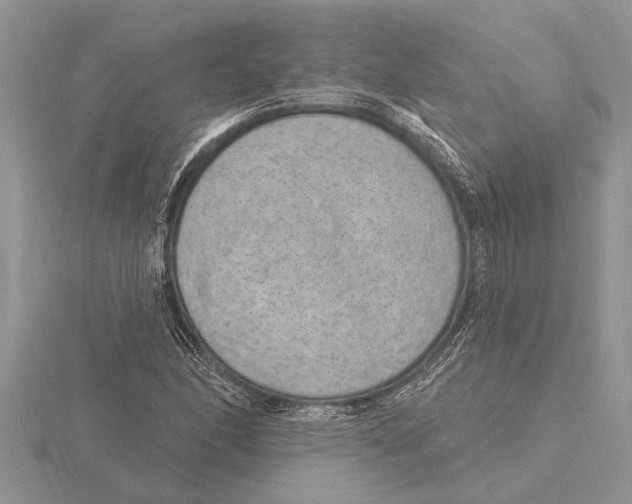 X0000115611166200912080956
