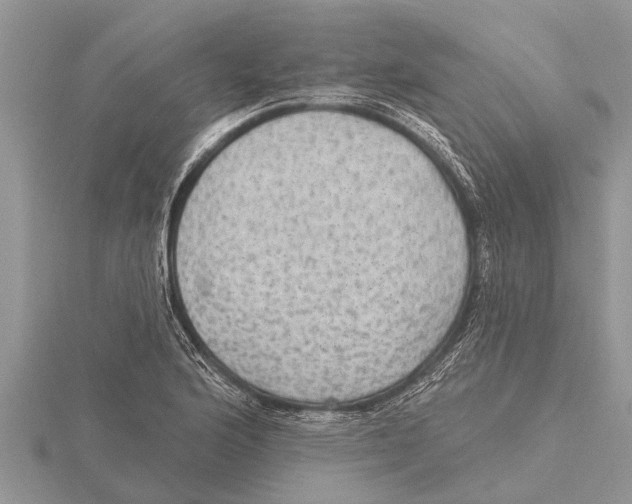 X0000115611176200912080956
