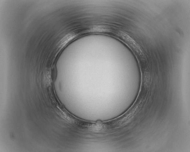 X0000115611177200912080956