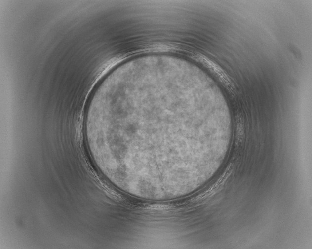 X0000115611178200912080956