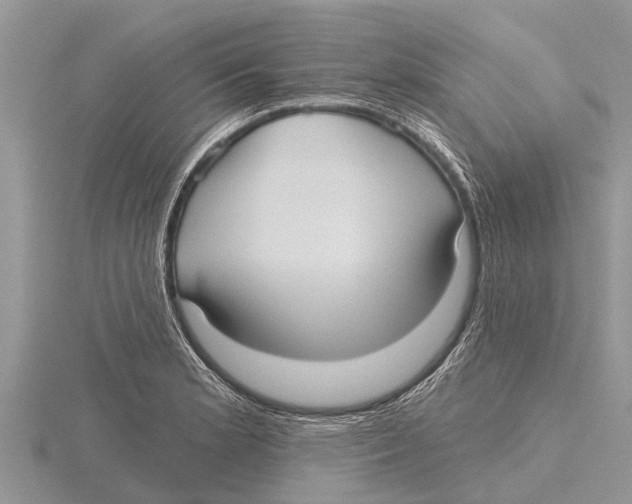 X0000115611181200912080956