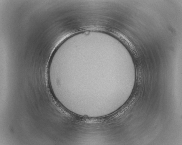 X0000115611182200912080956