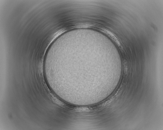 X0000115611186200912080956
