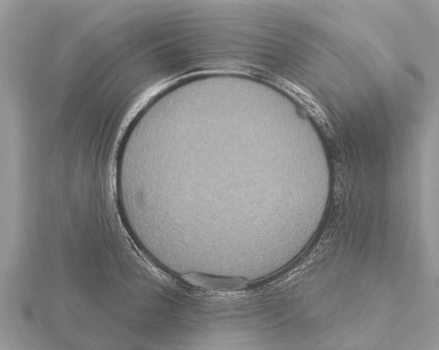 X0000115611188200912080956