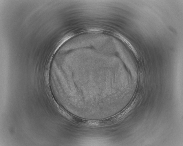 X0000115611194200912080956