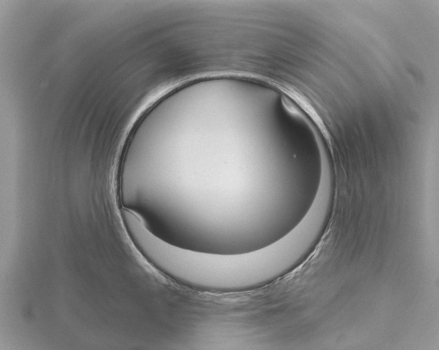 X0000115611197200912080956