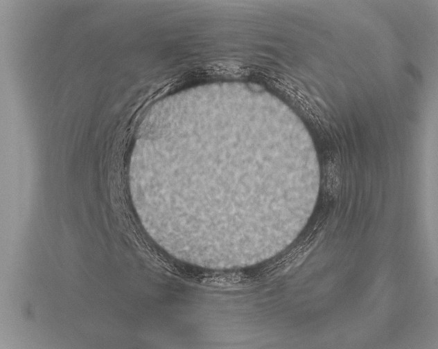 X0000115611201200912080955