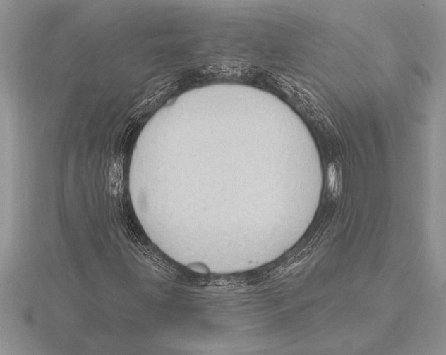 X0000115611203200912080955