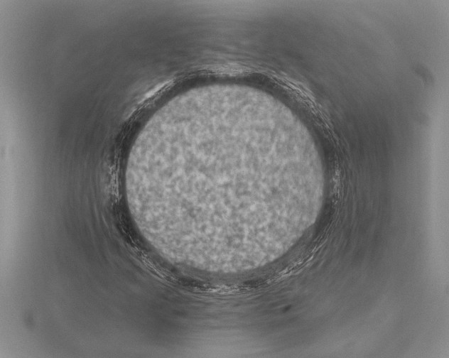 X0000115611205200912080955