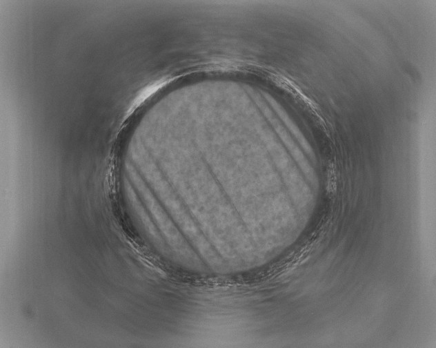 X0000115611208200912080955