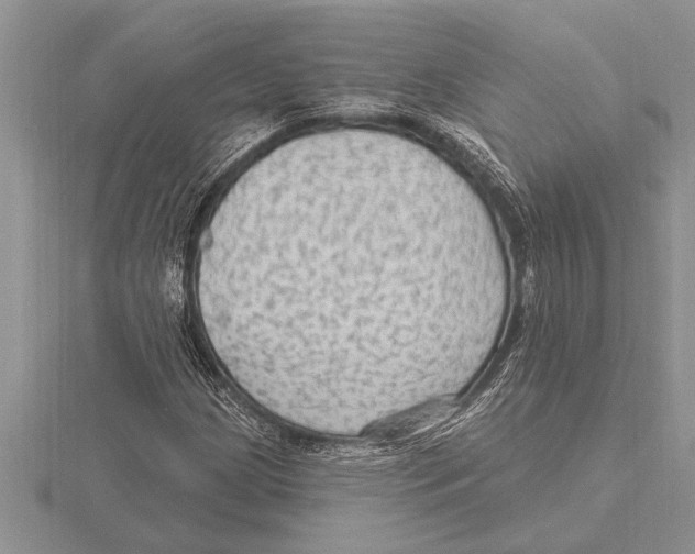 X0000115611209200912080955