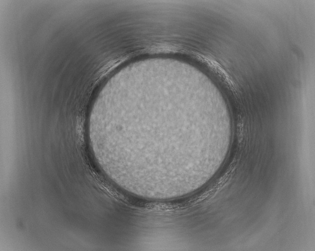 X0000115611217200912080955