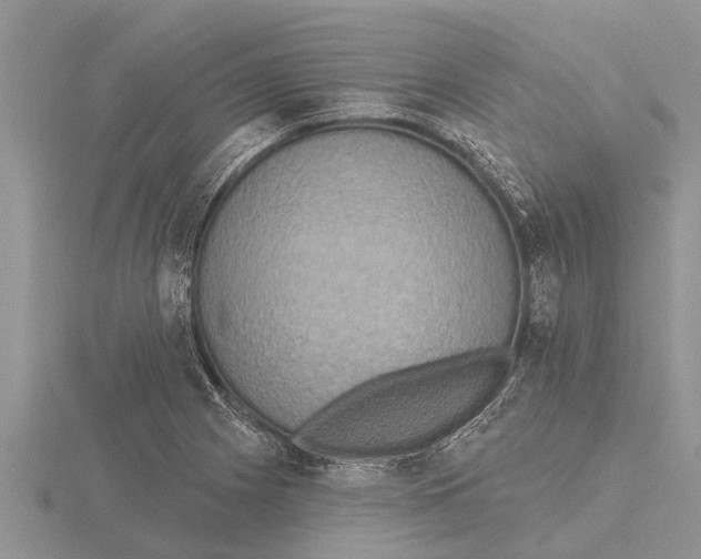 X0000115611225200912080955