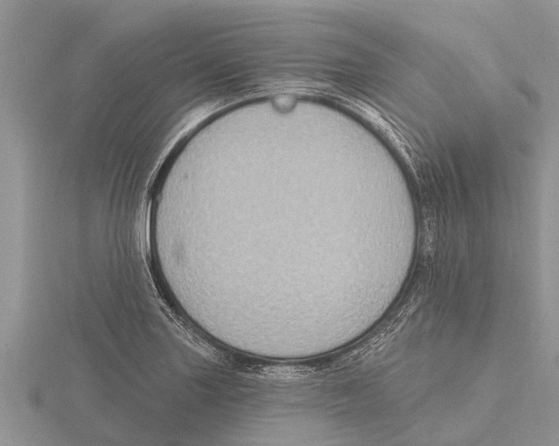 X0000115611227200912080955