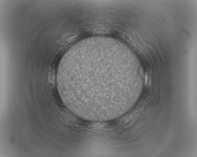 X0000115611251200912080955