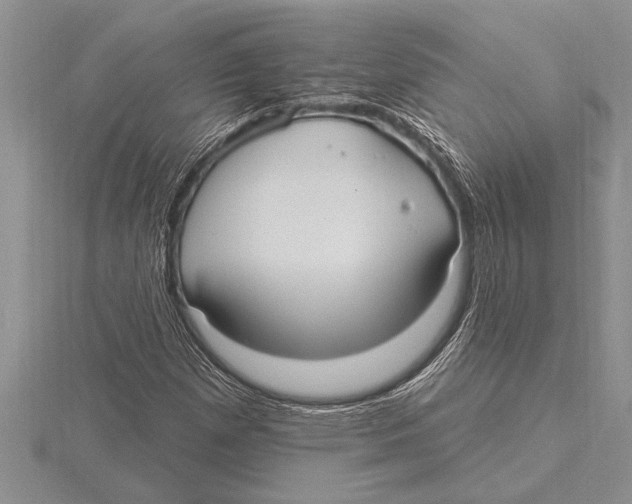 X0000115611257200912080955
