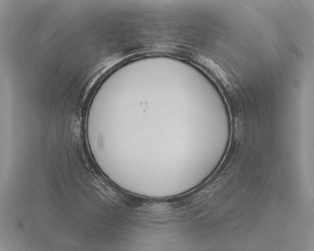 X0000115611260200912080955