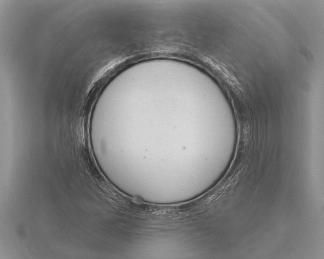 X0000115611262200912080955