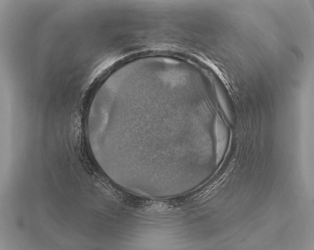 X0000115611263200912080955