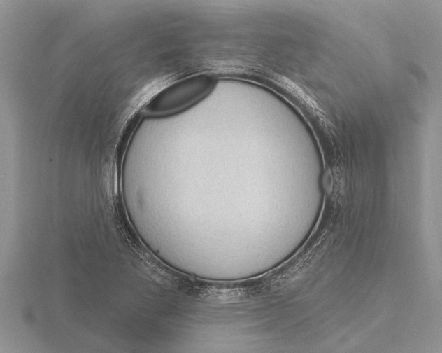X0000115611269200912080955