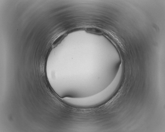 X0000115611273200912080955