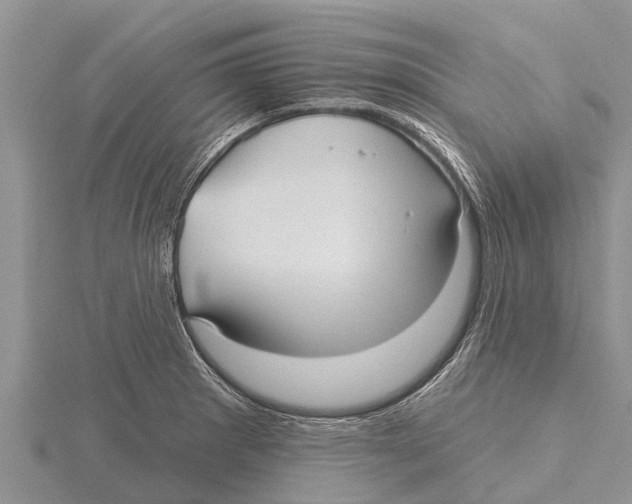 X0000115611281200912080955