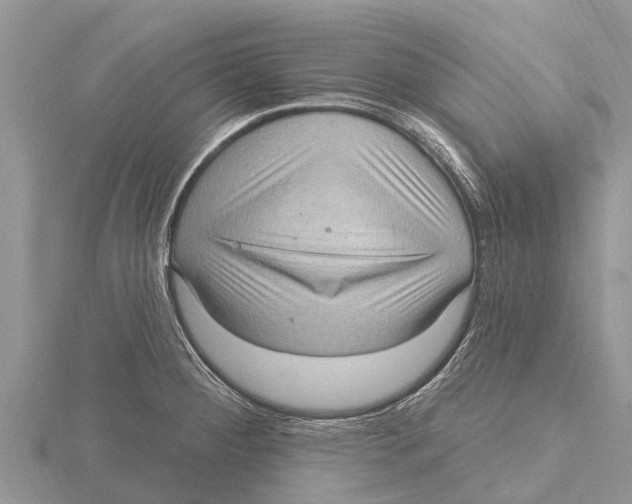X0000115611284200912080955